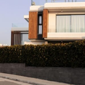Elegant modern villa with wooden accents and lush greenery in urban setting.